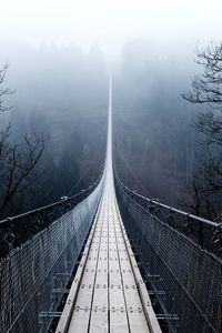 Footbridge in forest during foggy weather