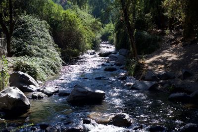 Stream flowing through rocks in forest