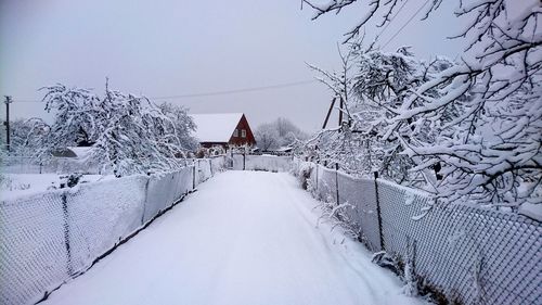 Snow covered houses by trees during winter