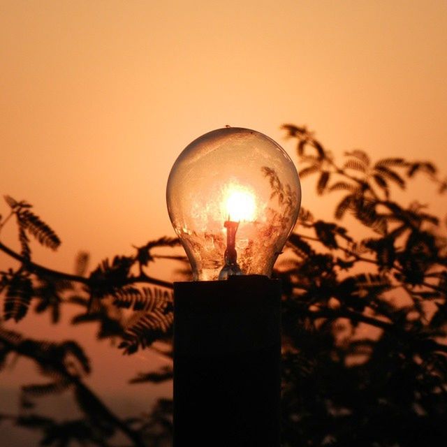 lighting equipment, illuminated, light bulb, electricity, low angle view, glowing, close-up, electric lamp, electric light, lit, focus on foreground, copy space, street light, clear sky, lamp, fuel and power generation, no people, silhouette, orange color, light - natural phenomenon