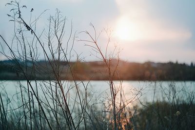 Scenic view of lake against sky during sunset