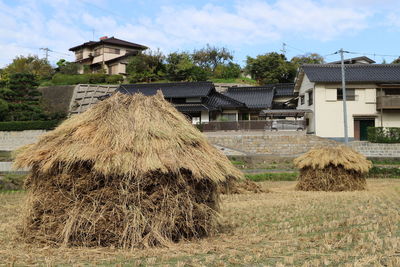 Hay bales on field by building
