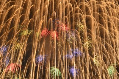 Firework display against sky at night