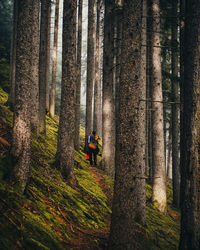 Rear view of man walking in forest