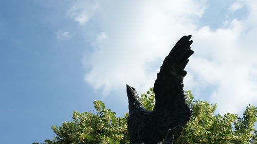 Low angle view of cactus against sky