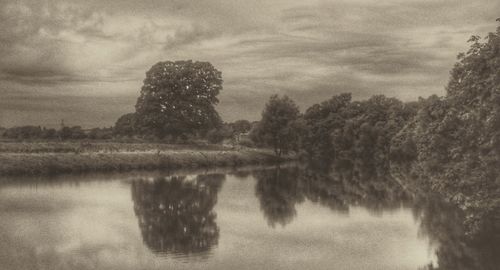 Reflection of trees in calm water