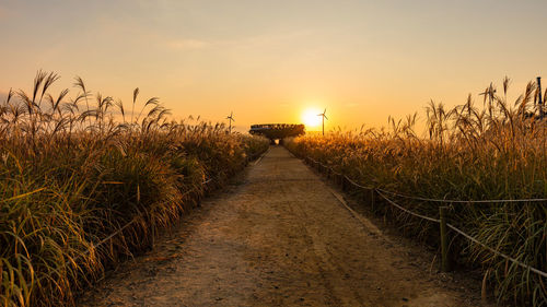 Footpath amidst field against sky during sunset