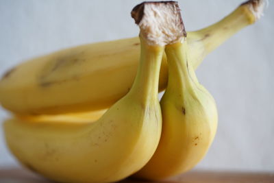 Close-up of yellow fruit against white background