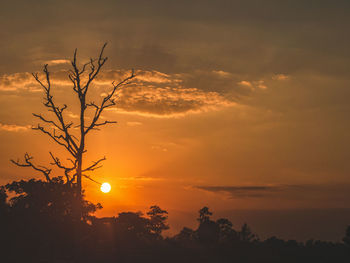 Silhouette tree against sky during sunset