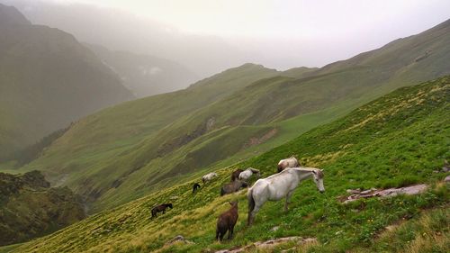 Scenic view of green mountains