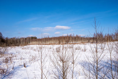 Scenic view of snow covered land against sky