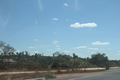 Scenic view of palm trees against sky