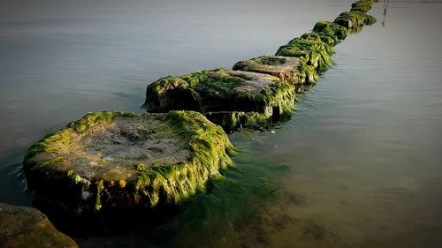 High angle view of rocks in lake