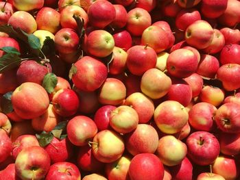 Full frame shot of apples