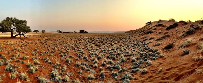 Scenic view of landscape against sky during sunset