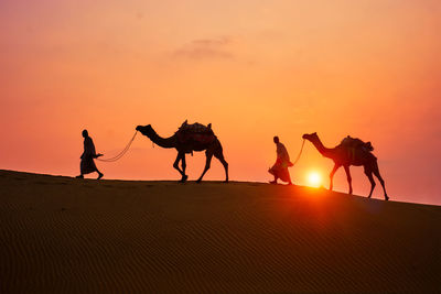 Silhouette horses on beach against sky during sunset