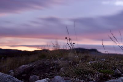 sky