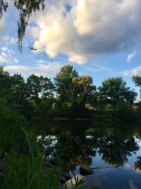 Scenic view of lake by trees against sky