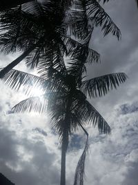 Low angle view of silhouette tree against sky