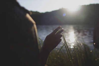 View of woman touching grass by water