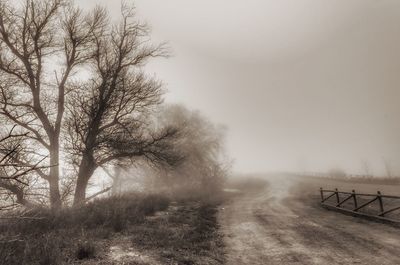 Dirt road by trees in foggy weather
