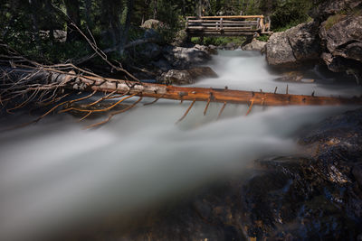 River flowing through trees