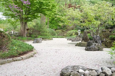 View of garden in park