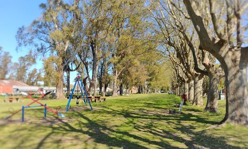 People playing in park