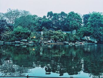 Reflection of trees in water