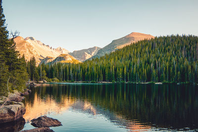 Scenic view of lake by trees against sky