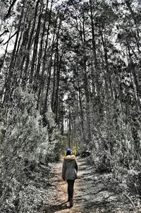 Rear view of woman standing in forest