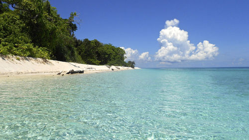 Scenic view of sea against blue sky