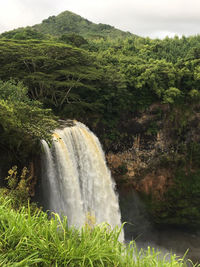 Scenic view of waterfall in forest