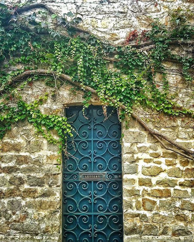 brick wall, wall - building feature, stone wall, growth, plant, built structure, pattern, architecture, green color, textured, ivy, wall, outdoors, building exterior, close-up, day, no people, nature, leaf, old