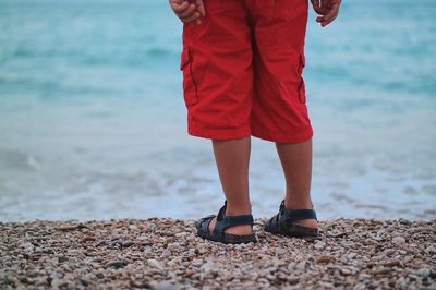 Low section of man standing on beach