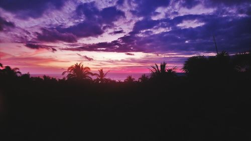 Silhouette trees against dramatic sky during sunset