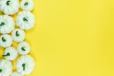 Directly above shot of white fruit against yellow background