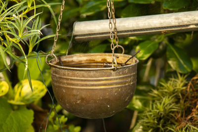Close-up of water in container on field