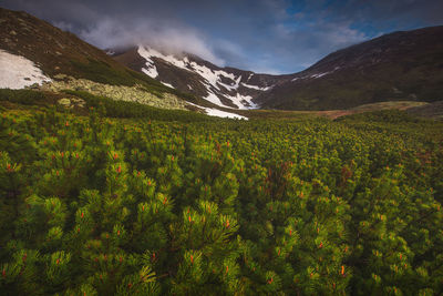 The beauty of fagaras mountains, romania. summer landscape from carpathians.