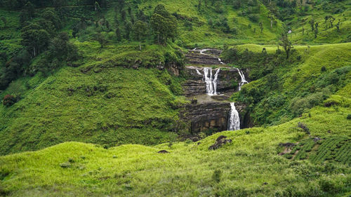 Scenic view of waterfall in forest