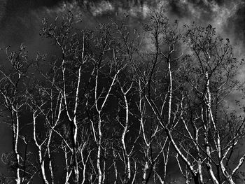 Full frame shot of dark surface