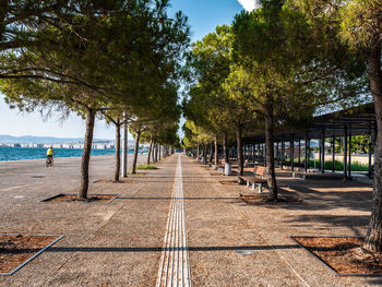 Footpath amidst trees in park against sky