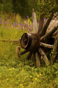 Old rusty chain on field