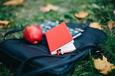 Close-up of red apple and book with bag on field