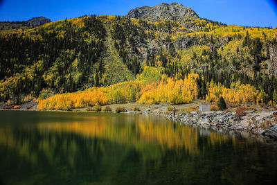 Scenic view of lake by trees against sky