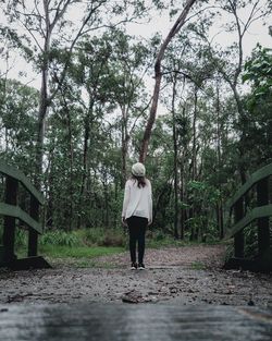 Rear view of woman standing in forest