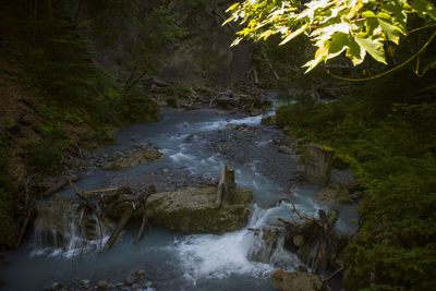 Stream flowing through rocks in forest