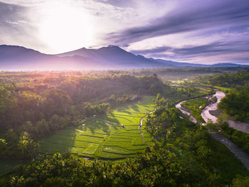 environment