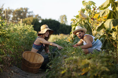 Woman showing plants to man while working in farm