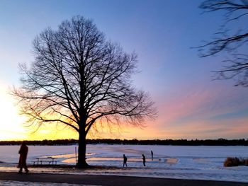 Silhouette bare trees on frozen landscape against sky during sunset